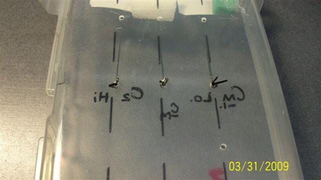 aKod tunr040109 008 (Small).jpg