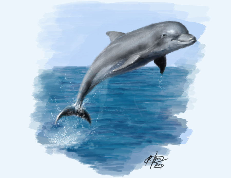 a_dolphin_by_raphael041-d372eg4.jpg