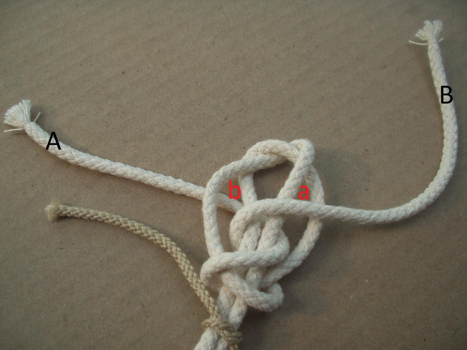 abok 5.jpg