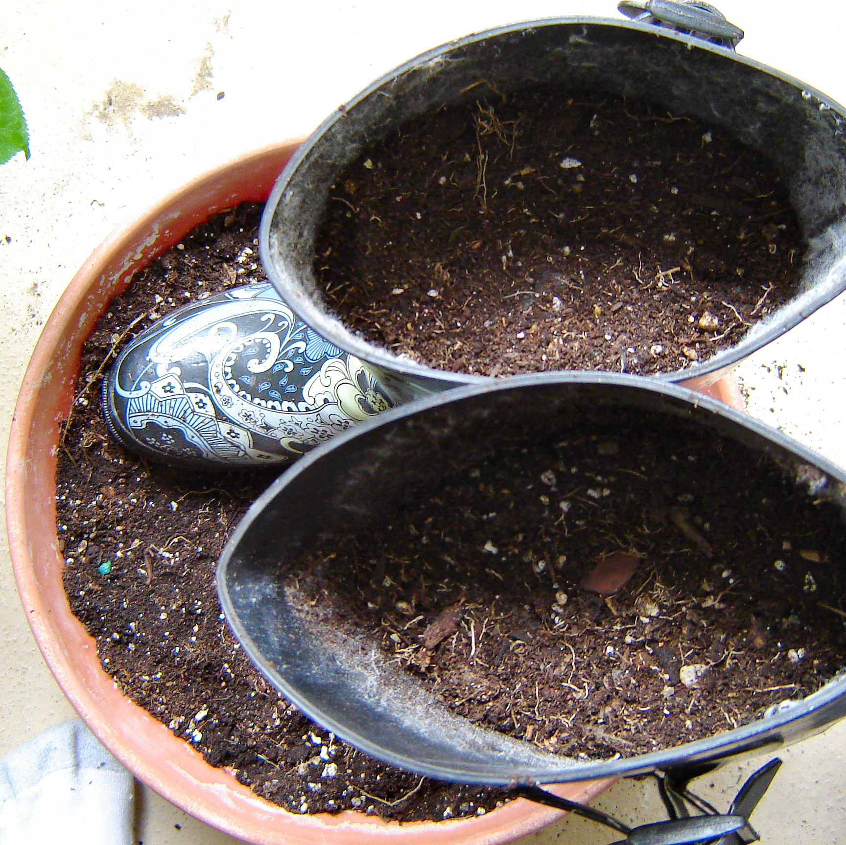 addsoil.JPG