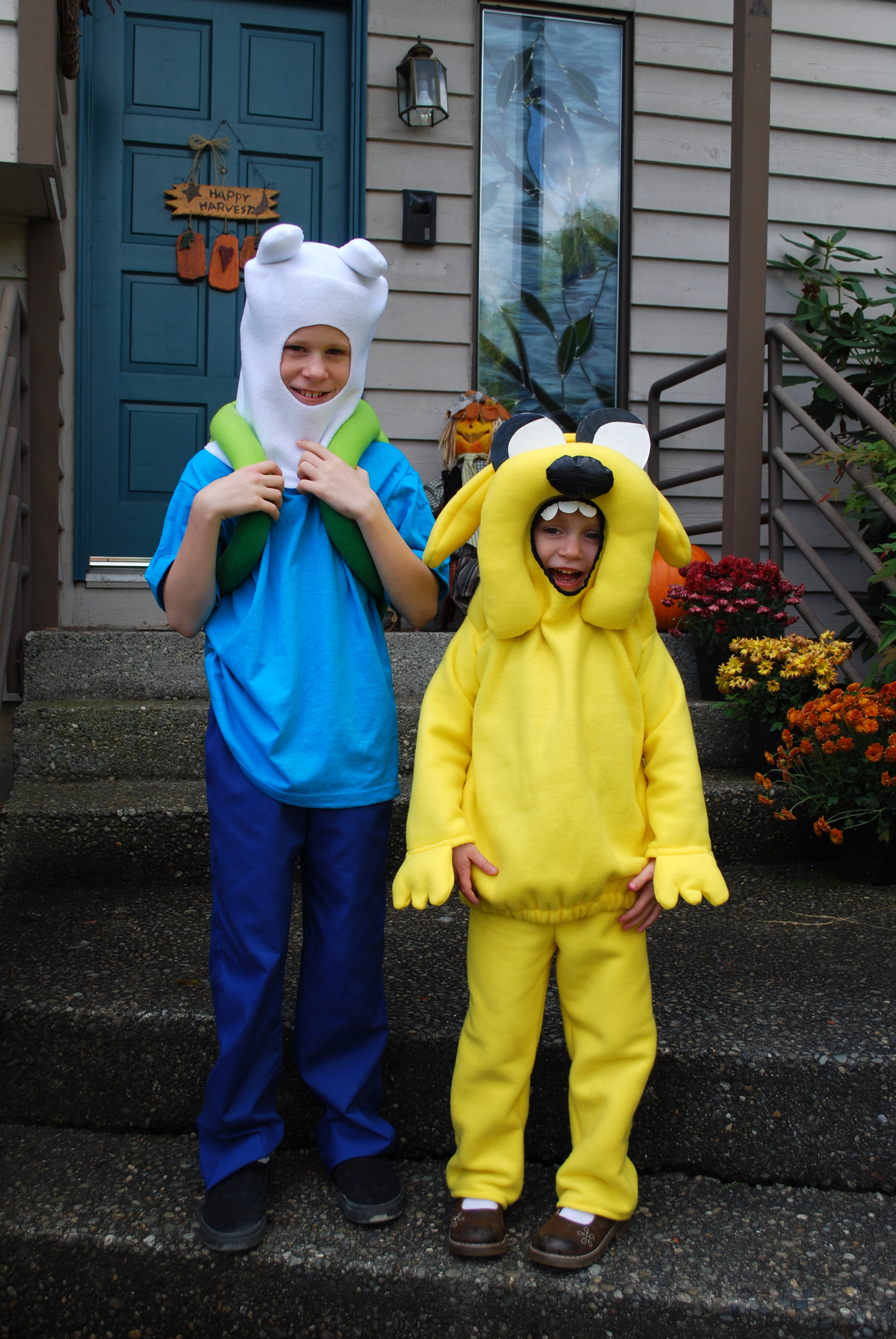 adventuretimecostumesjakefinn.jpg