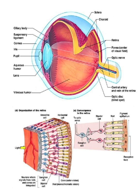 afe471ff-d00d-477c-8927-f2b75a463e69.jpg