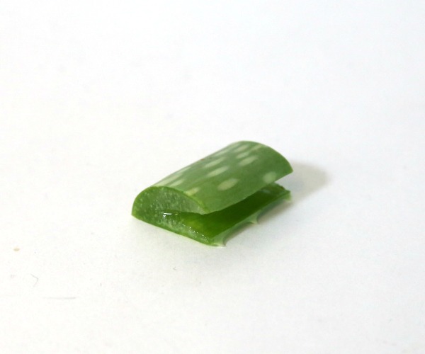 aloe cut piece cut.jpg
