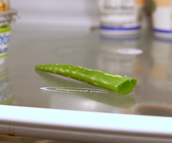 aloe in fridge.jpg
