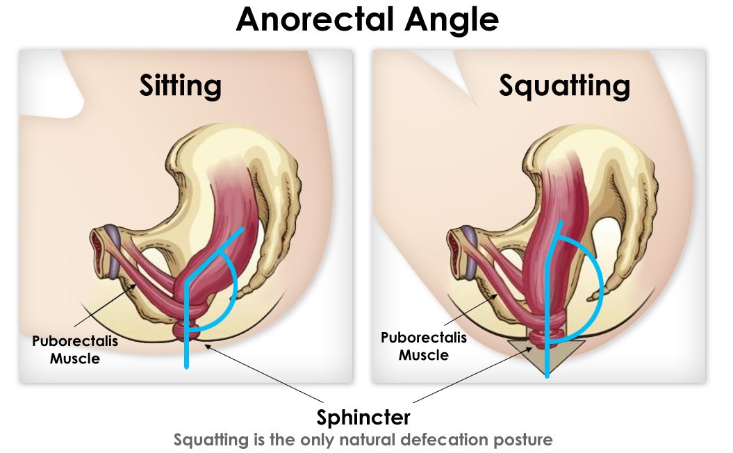 anorectalangle_1.jpg