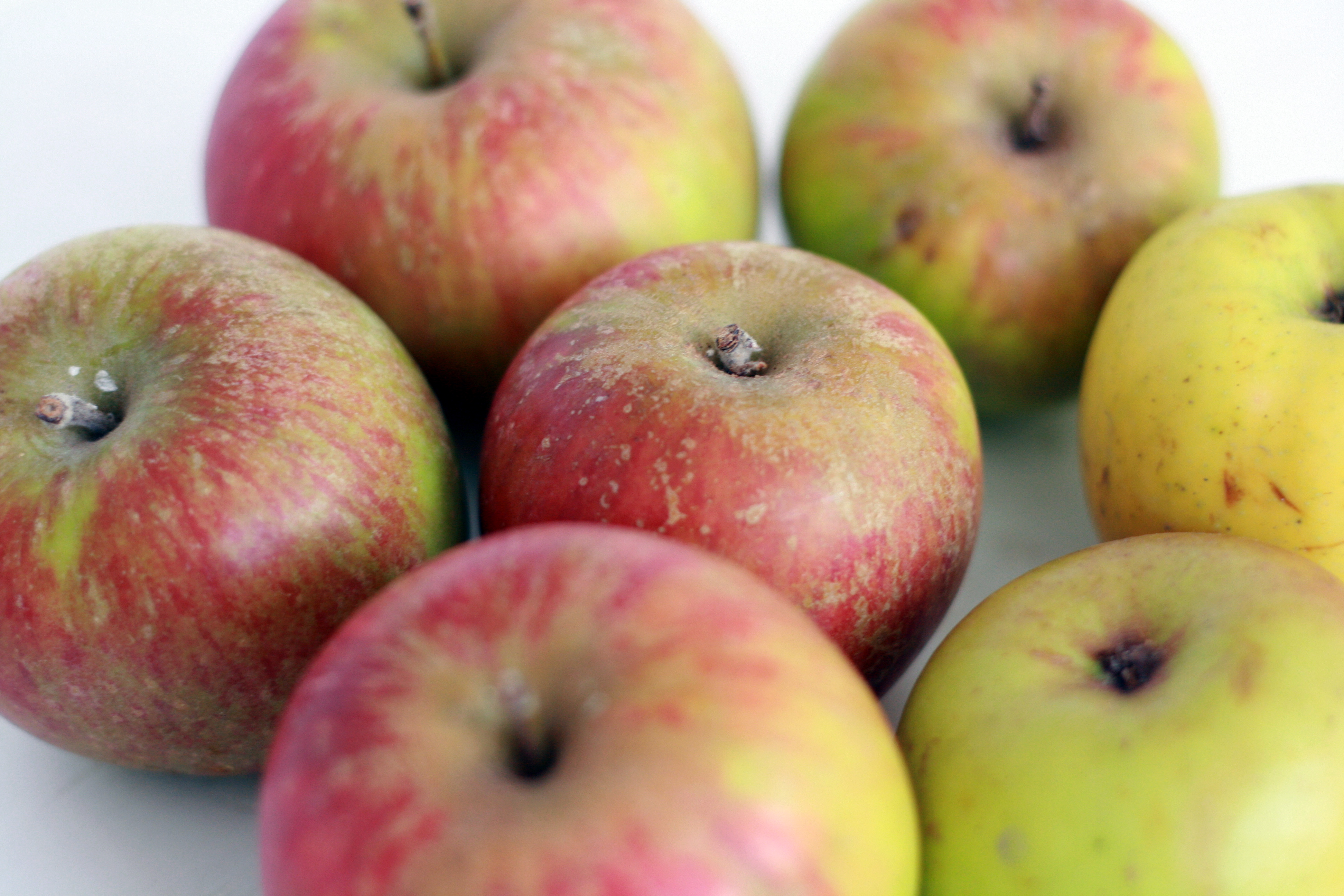 apples.jpg
