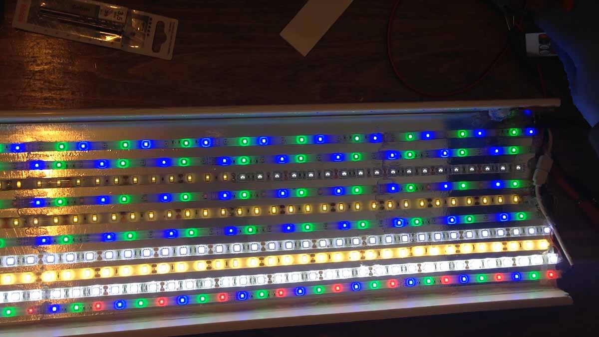 aquarium-led-light-10.jpg