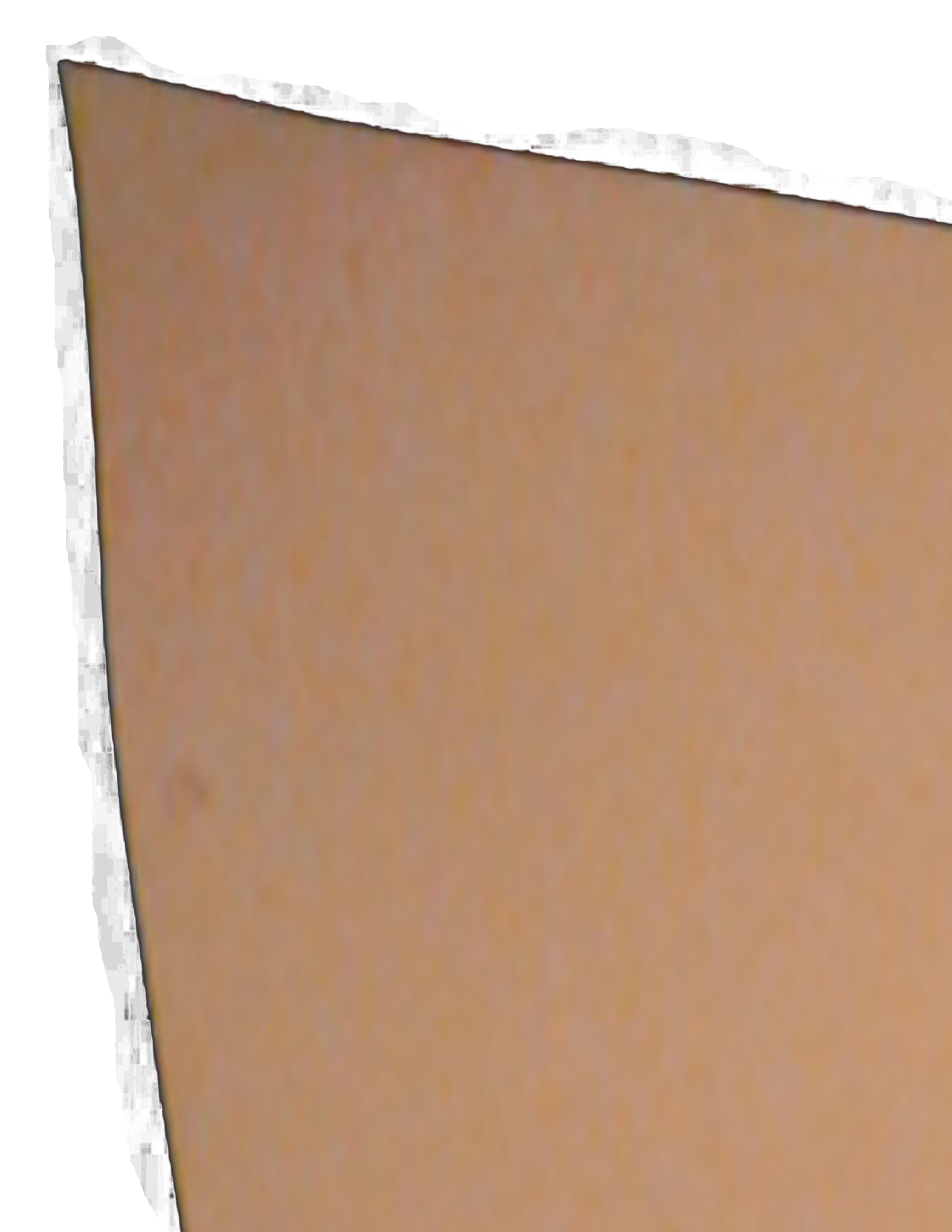 arm1.jpg