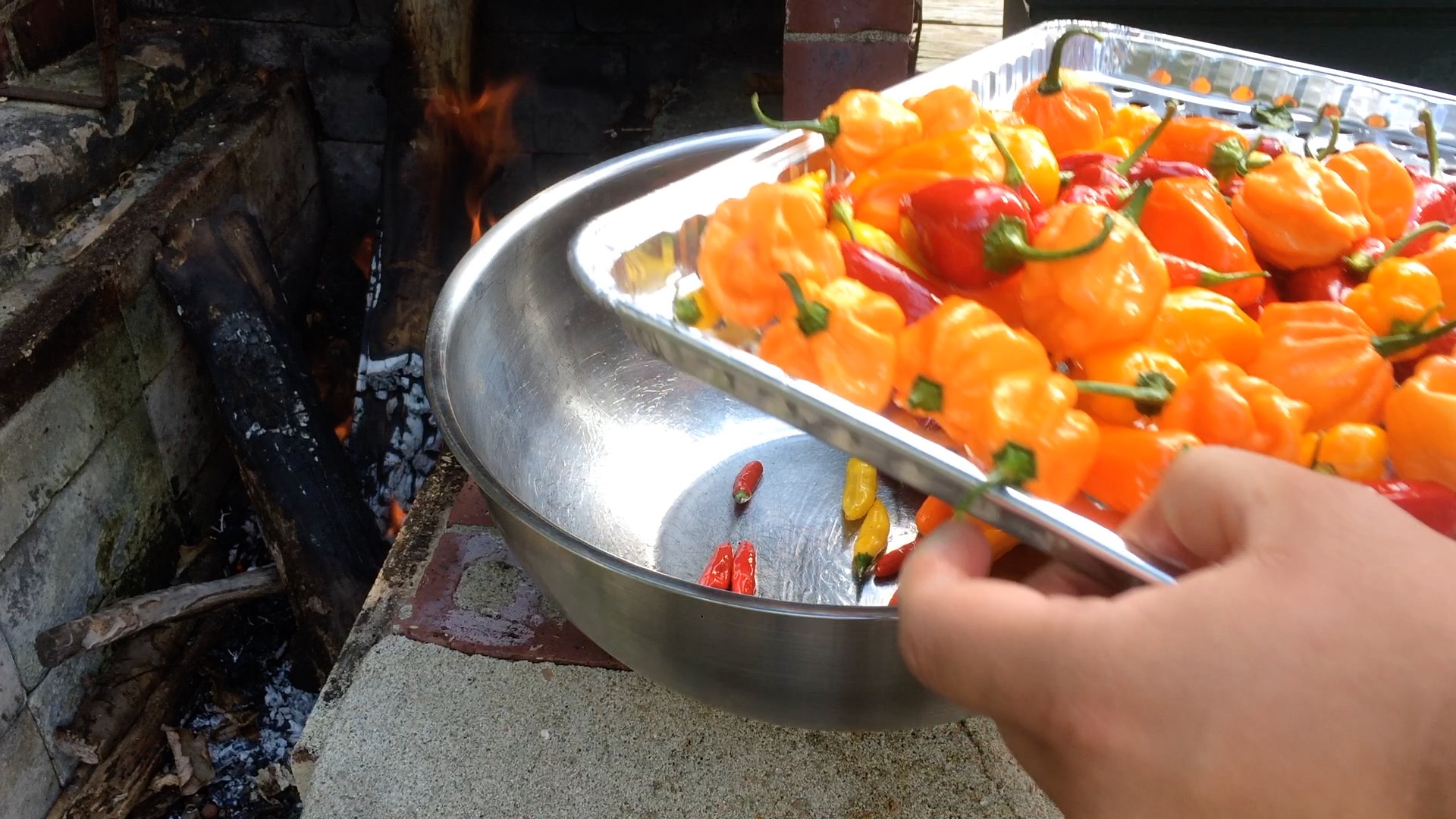 assorted peppers.jpg