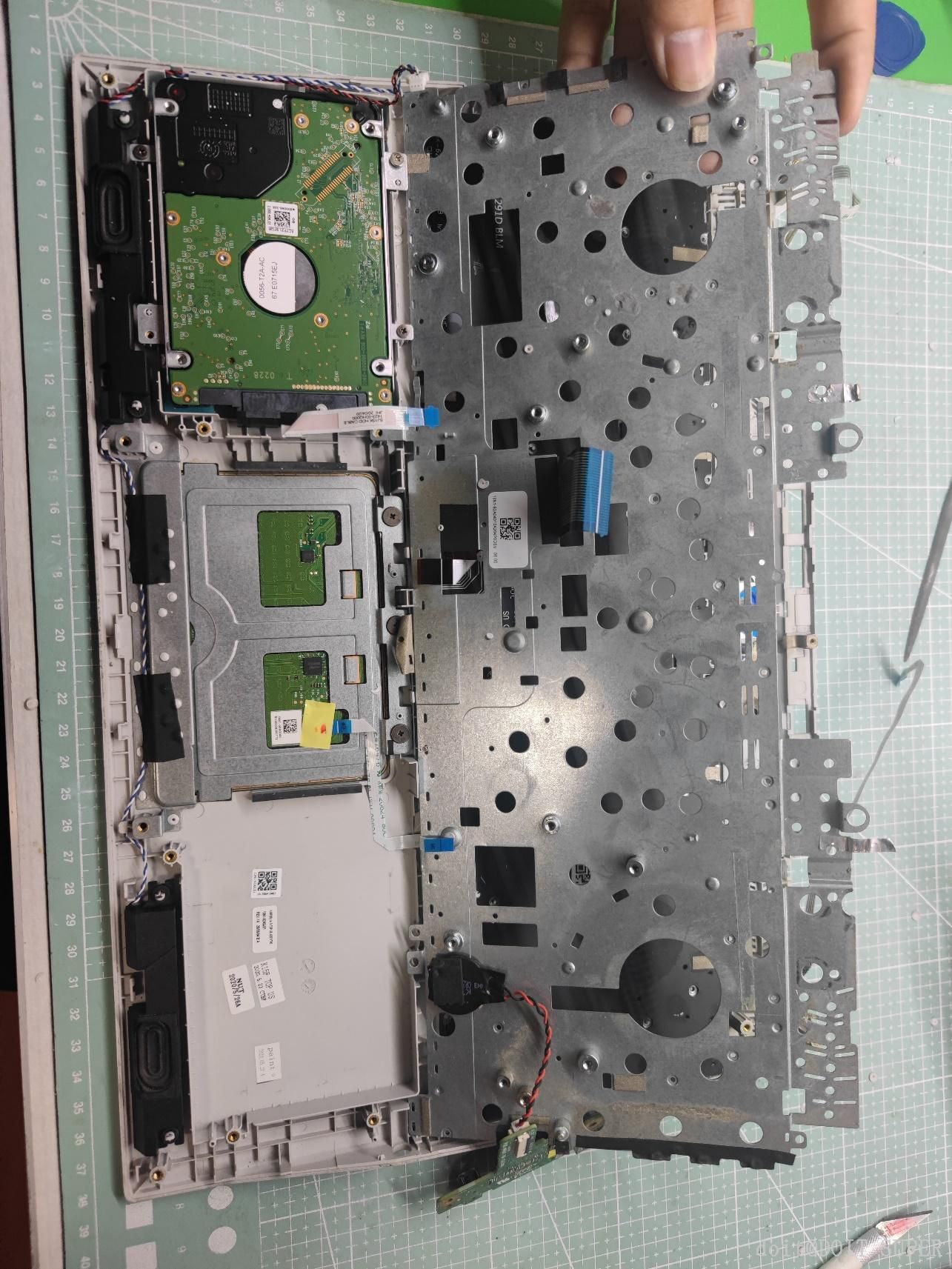 b92162d0-9dcd-432d-9bf6-68c4fc0026c4.jpg