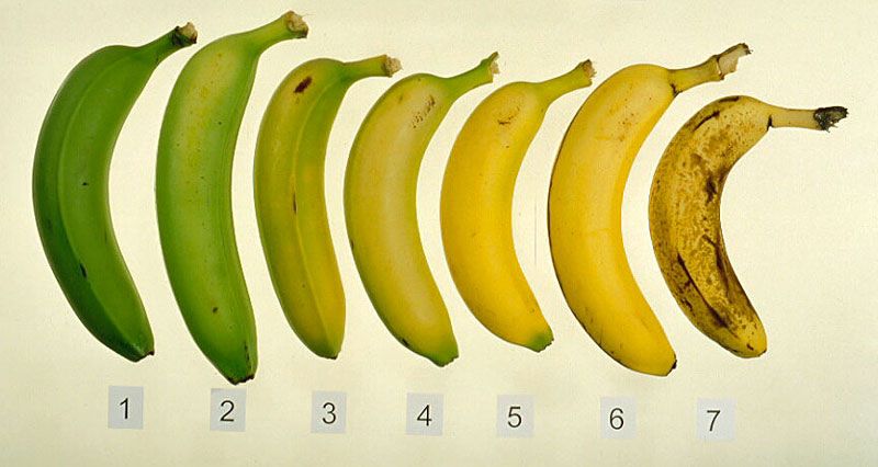 bananas_n.jpg