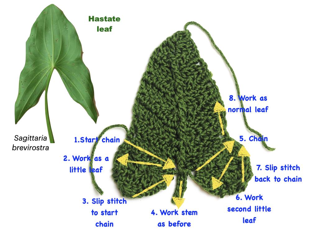 basic leaf crochet.006.jpeg