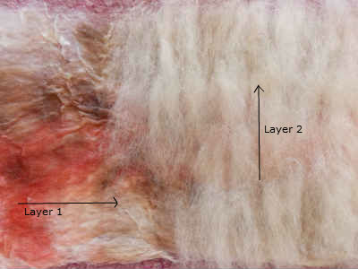 basic-2nd layer.jpg