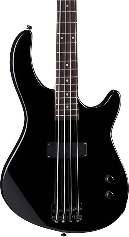 bass guitar1.jpg