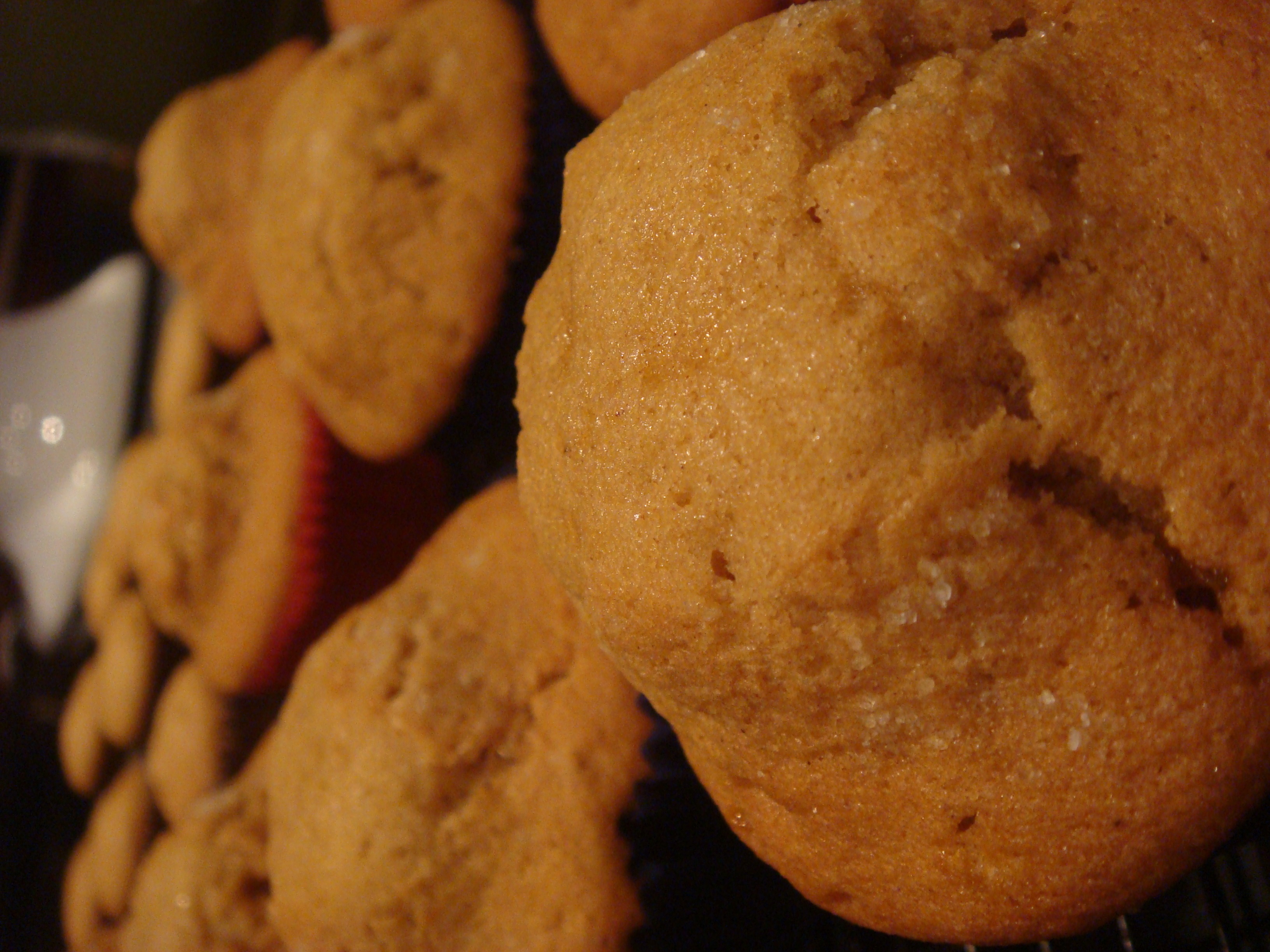 bb baked close up.jpg