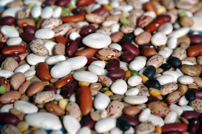 beans,jpg-700668.jpg