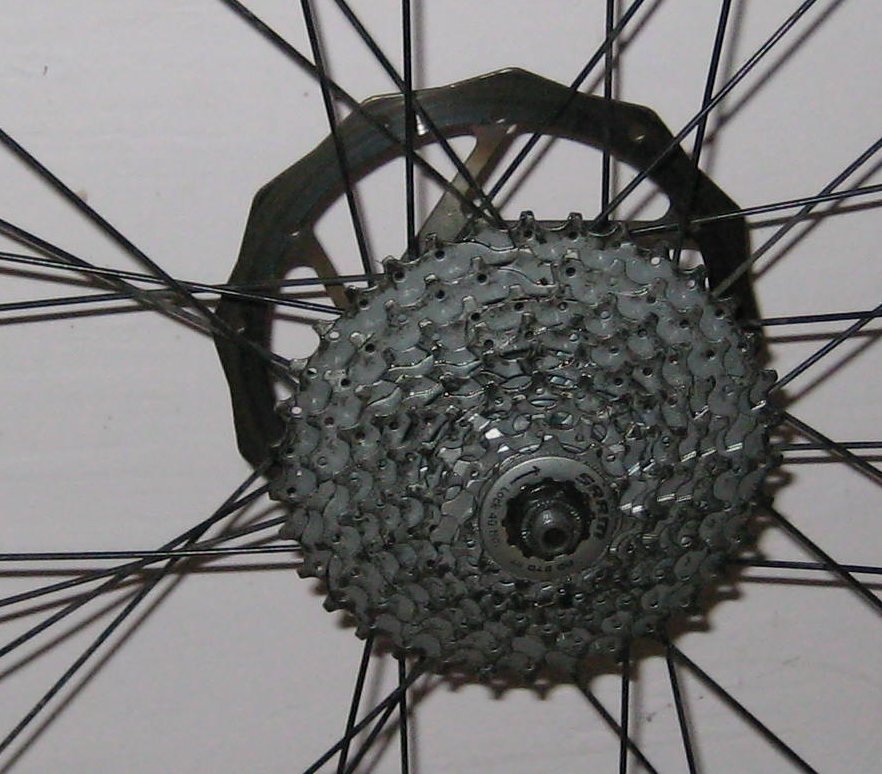 bearing02.jpg