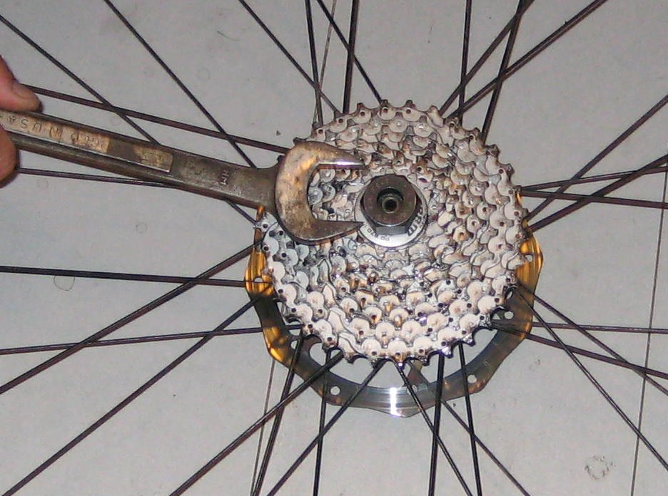 bearing04.jpg