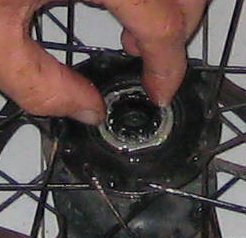 bearing24.jpg