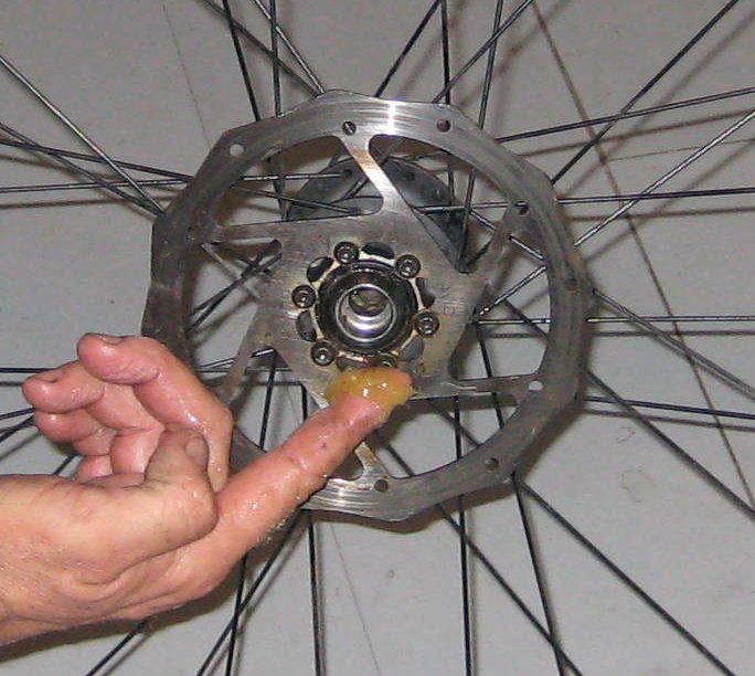 bearing31.jpg