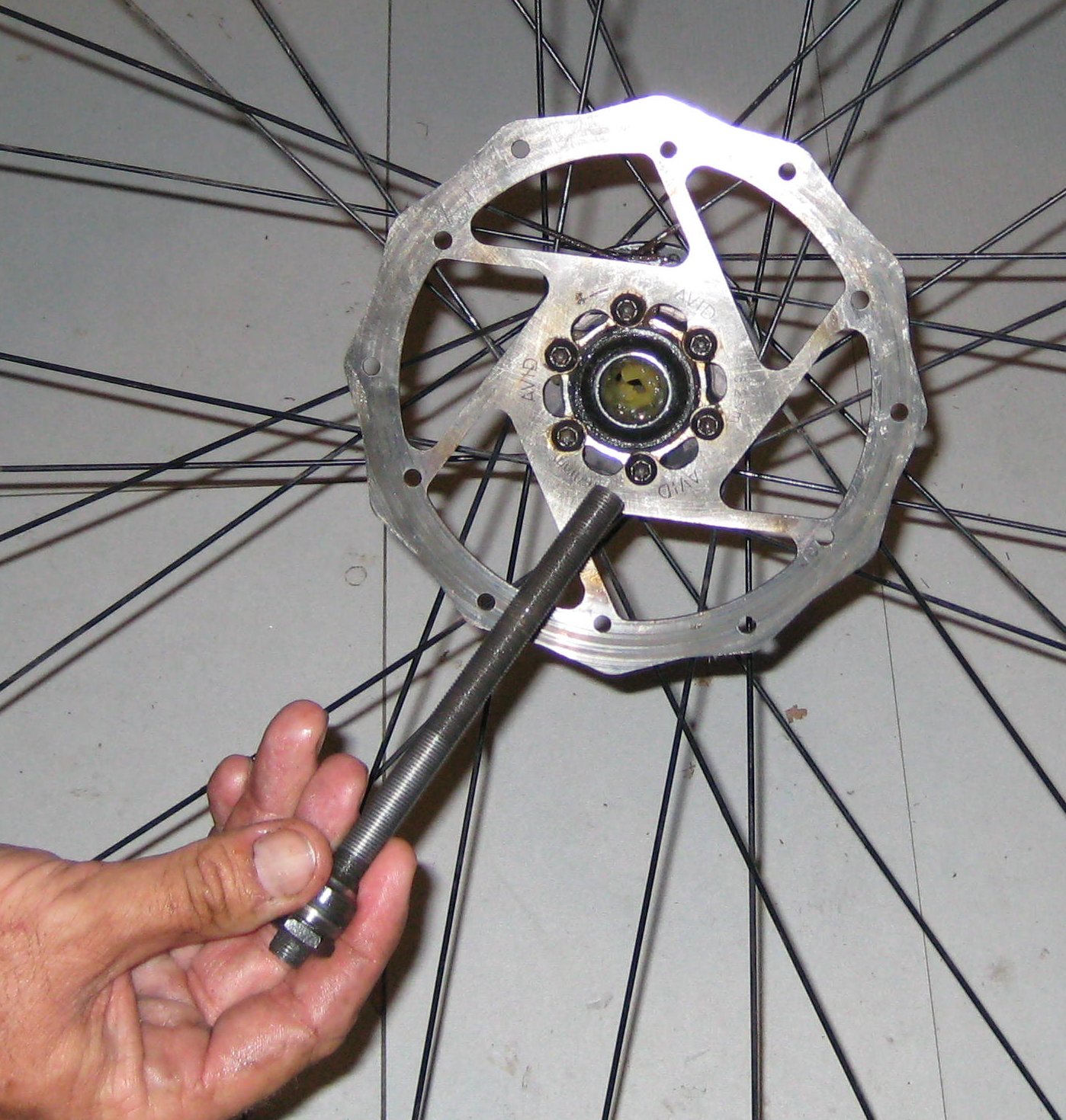 bearing33.jpg
