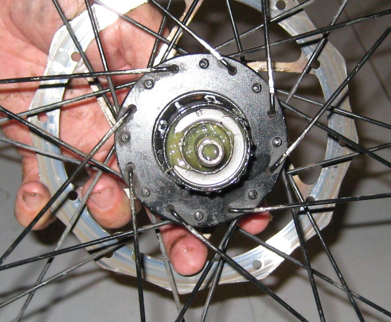 bearing37.jpg