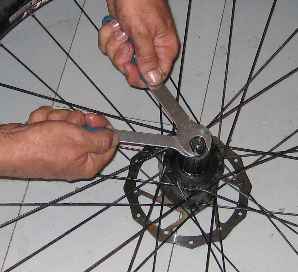 bearing39.jpg