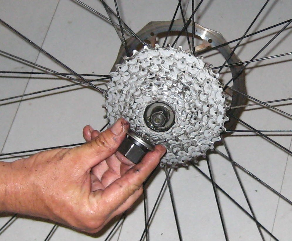bearing43.jpg