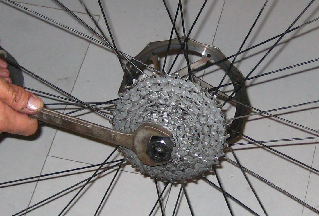bearing44.jpg