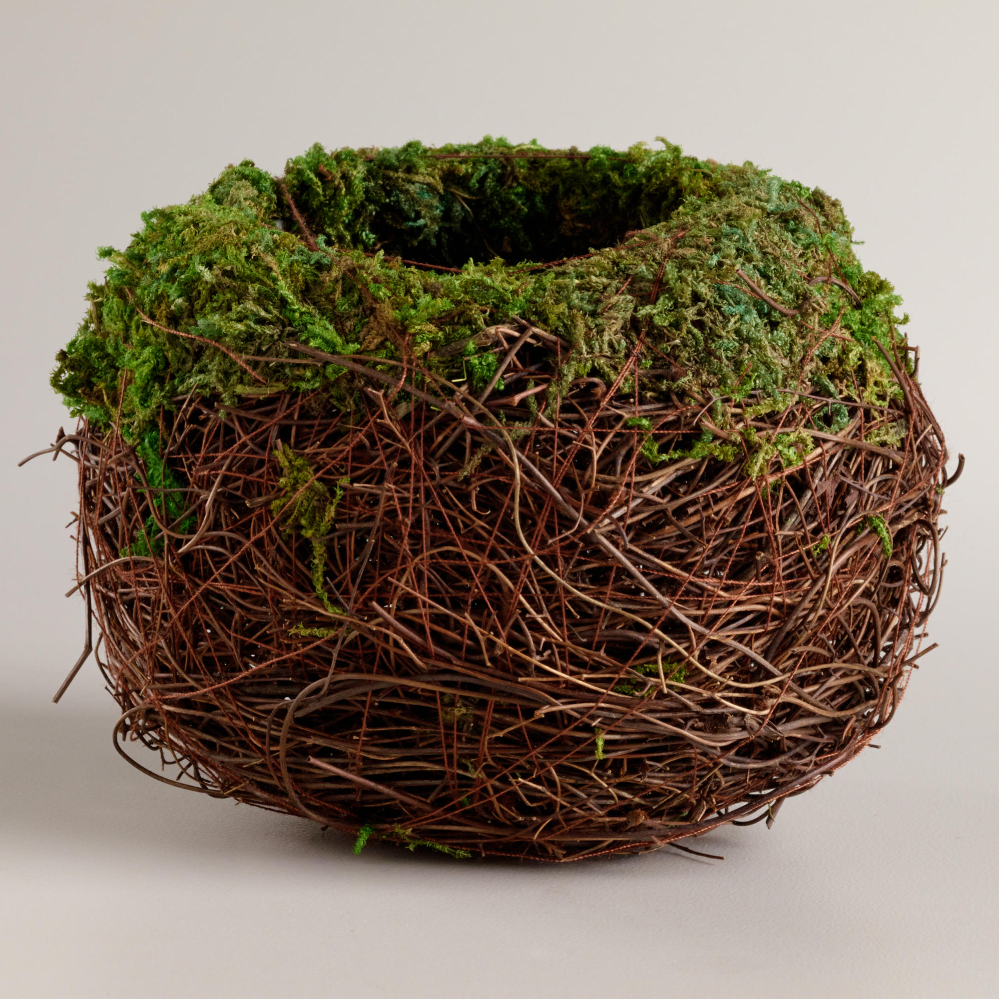 beautiful nest.jpg