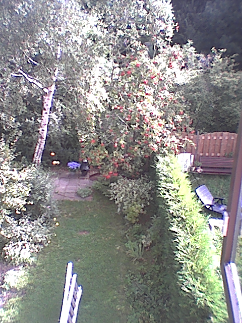 berk omhakken 012.bmp