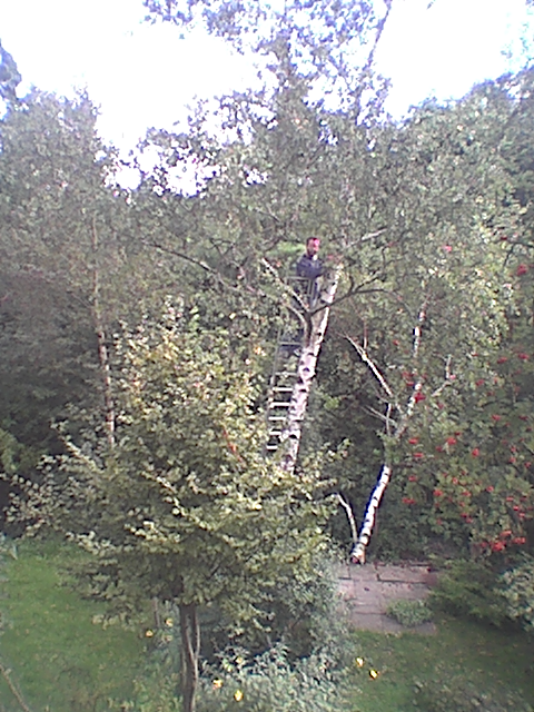 berk omhakken 019.bmp