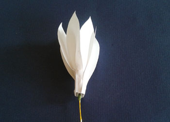 best-out-of-waste-paper-flower.jpg