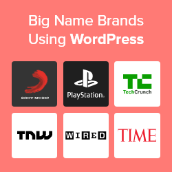 big-brand-names-that-are-using-wordpress-thumb.png