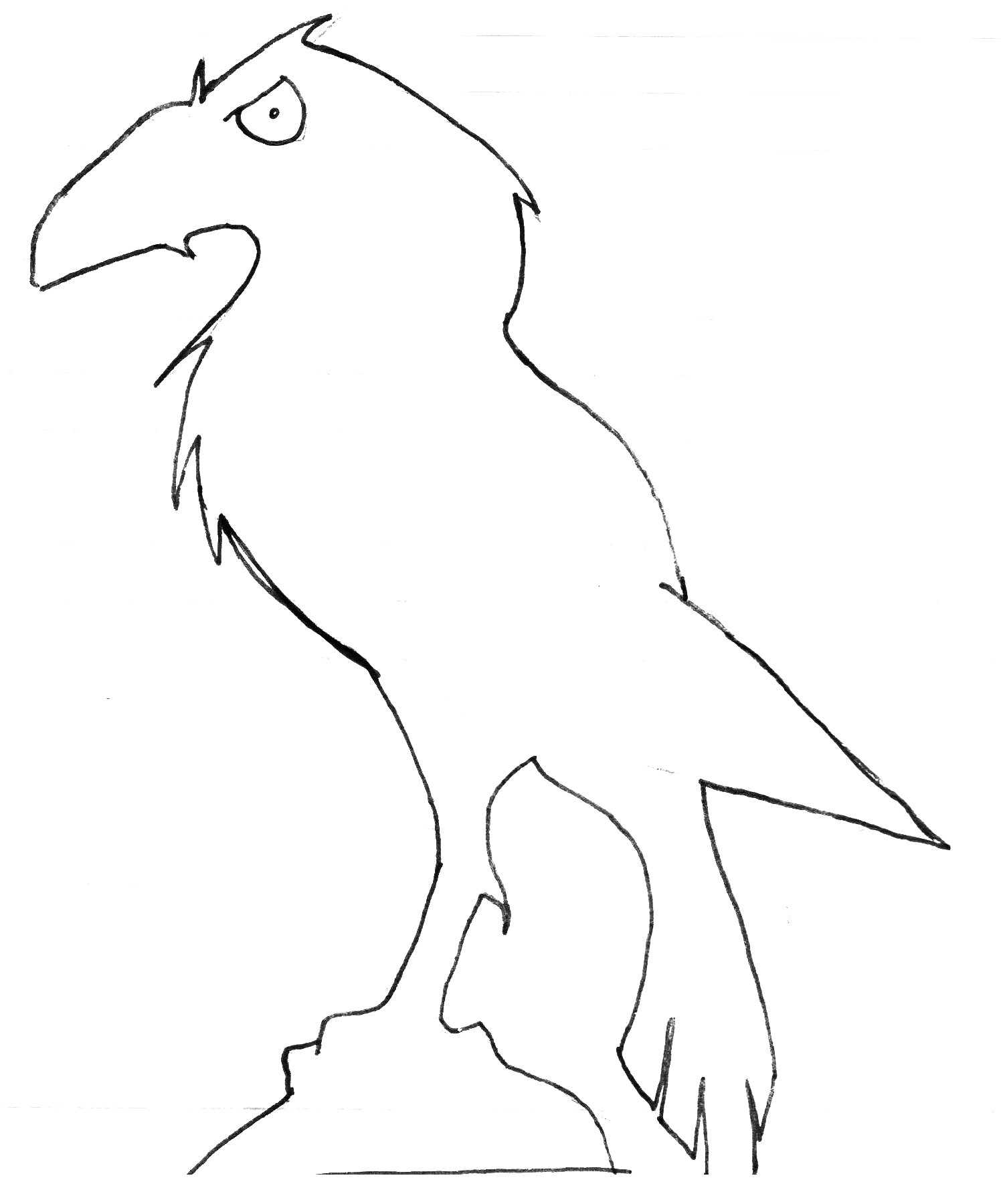 bird 001bc.jpg