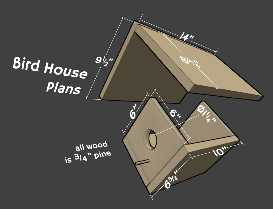 bird-house.png