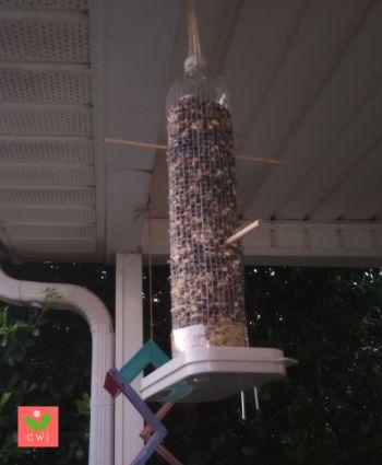 birdfeeder_hanging.jpg