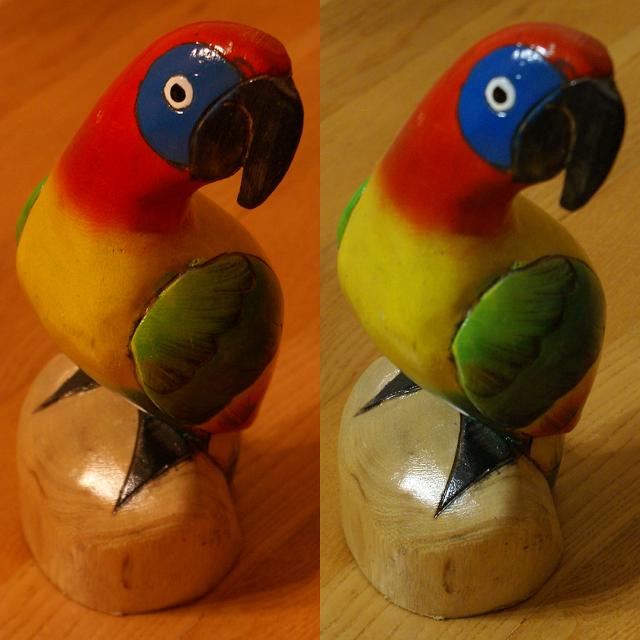 birds.jpg