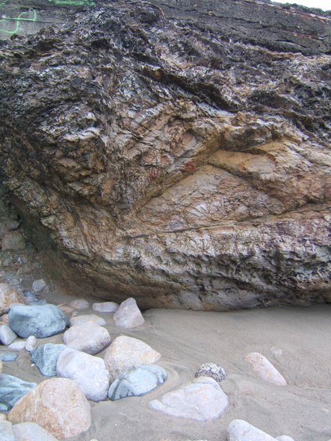 bld06.jpg