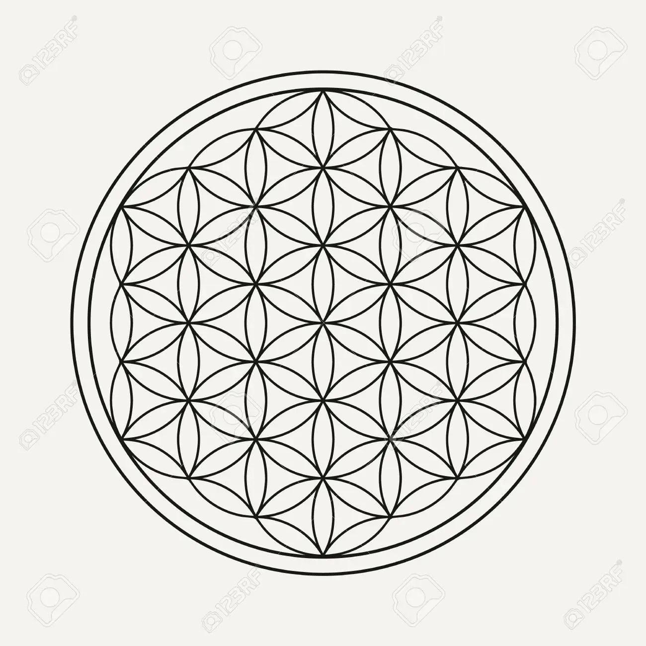 blume-des-lebensmandalas-im-umrissstil-zen-illustration-yoga-hintergrund-.jpg