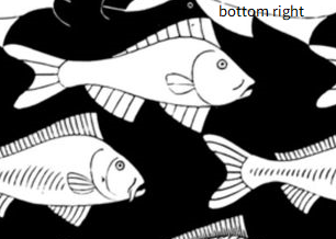 bottomright.png