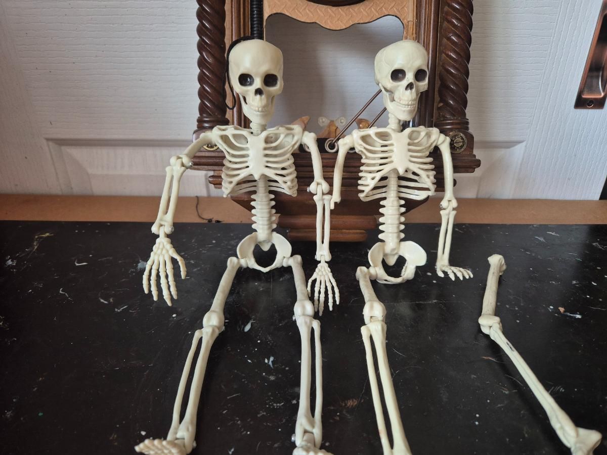 broken-skeletons.jpg