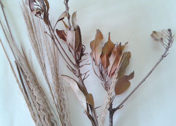 broomsticks-craft.jpg
