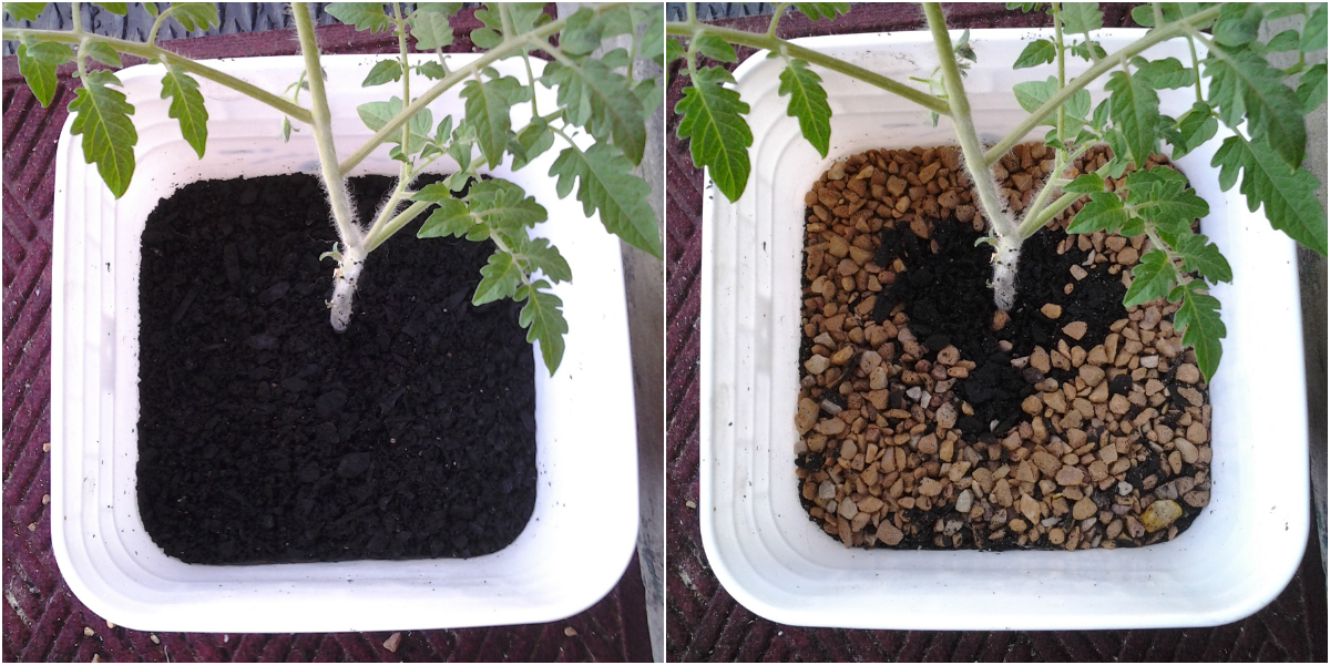 bucket_update2.jpg