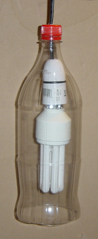 bulb1.jpg