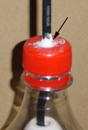 bulb4.jpg