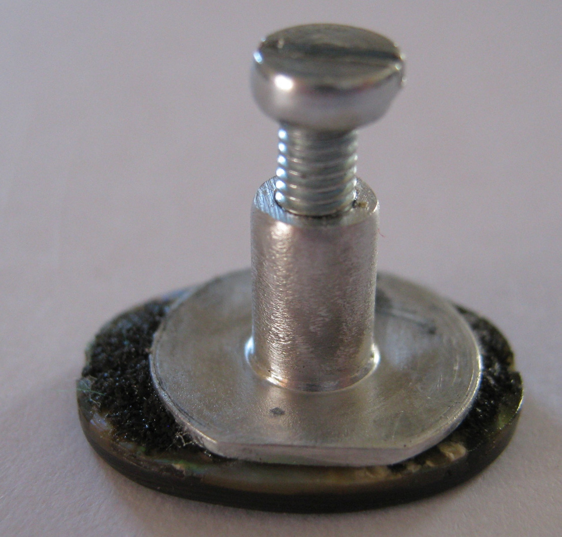 button back.JPG