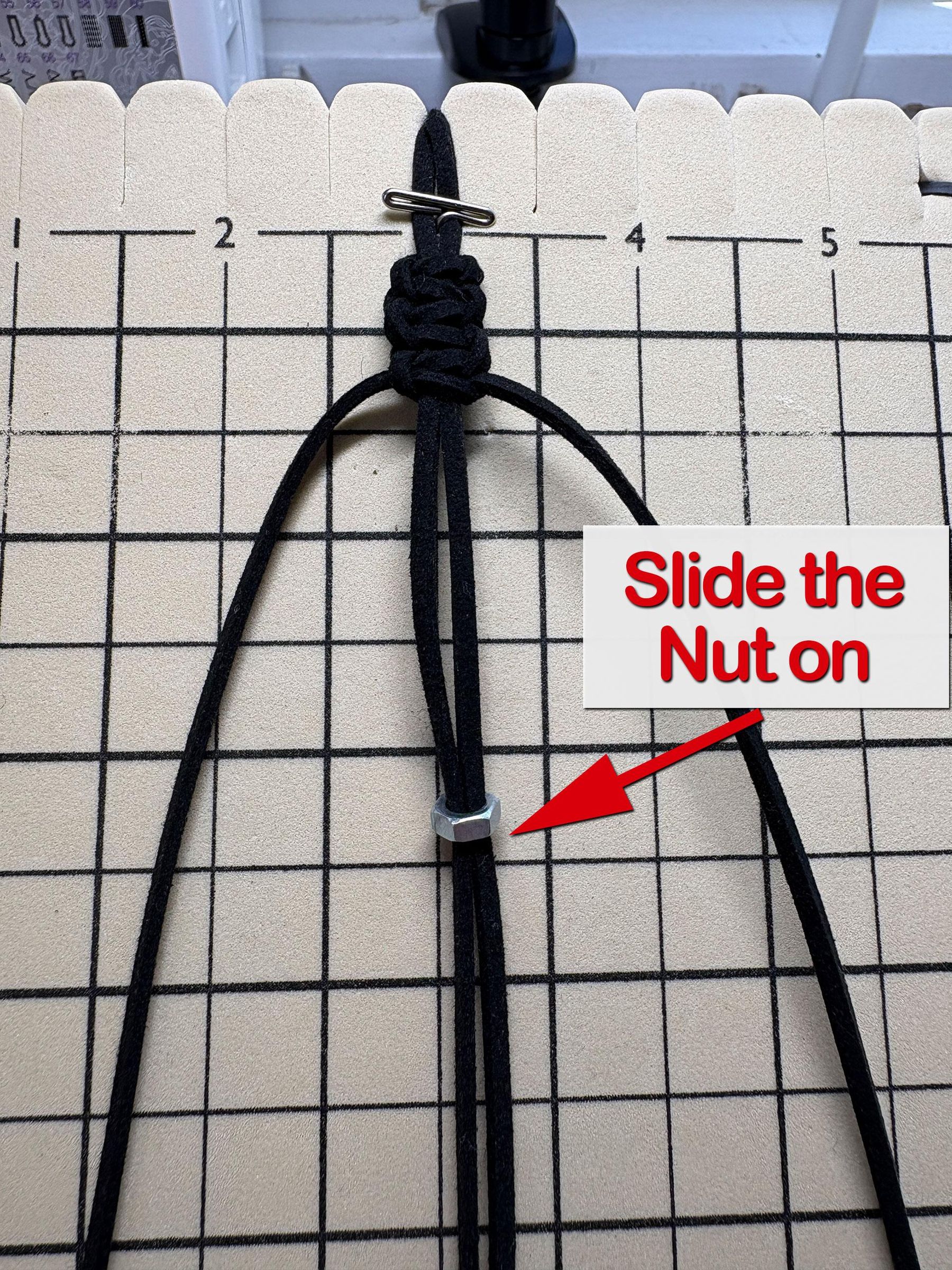c_nut.jpg