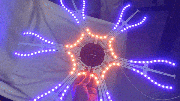 caa19f172c5e4de5bde57cc2a6f8a55b.gif
