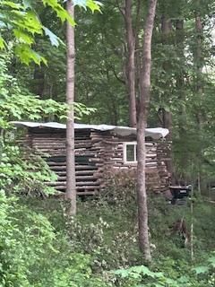 cabin6.jpg